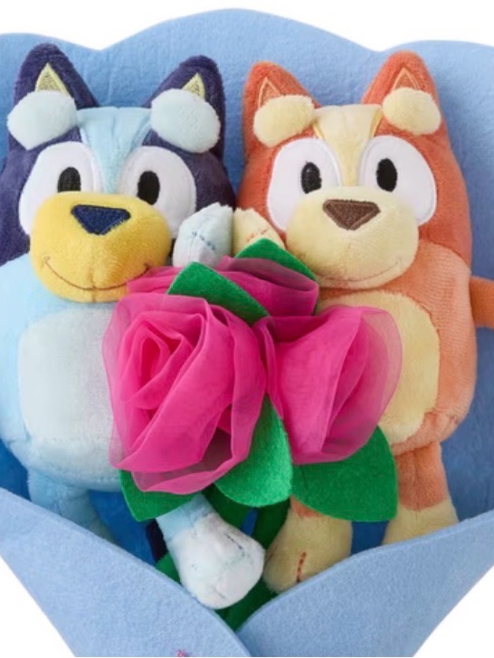 Bluey & Bingo Plush bouquet